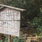 井の頭池の湧水は徳川家康が水の質がいいとしてお茶の水にしていた
