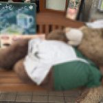 フレッシュネスバーガーのクマ吉が客を呼び寄せる態度じゃないww
