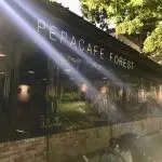 井の頭公園のオープンテラスカフェ「ペパカフェ・フォレスト」人気ガパオランチ