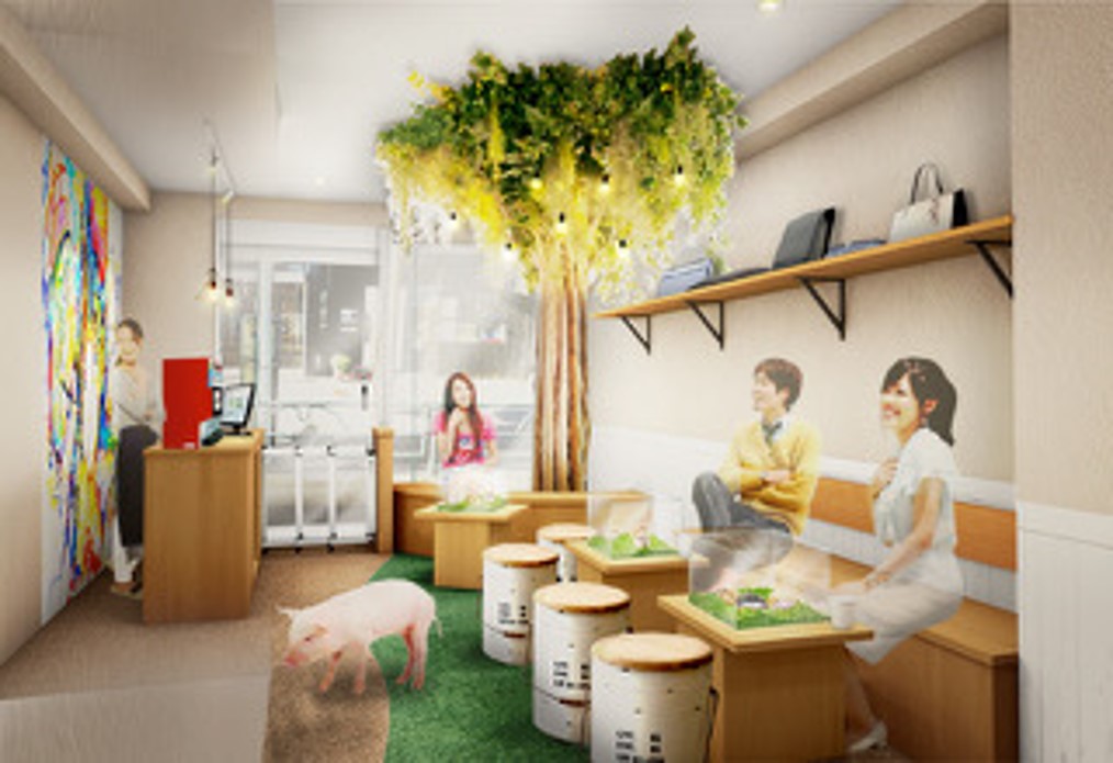 吉祥寺初 ハリネズミ マイクロブタのふれあいカフェがオープンへ 吉祥寺ファンページ