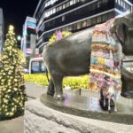 【2021年】吉祥寺|人気洋菓子店のクリスマスケーキ予約情報まとめ(随時更新)
