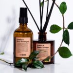 天然香料を使った“グリーンフレグランス”【100BON】東急百貨店吉祥寺店1階で発売中