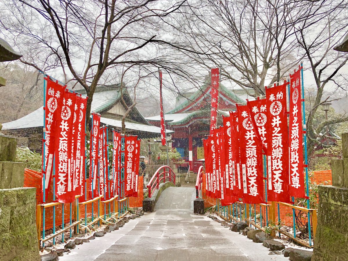 ⚠️本日23時59分まで価格　送料込み　吉祥天　大株　　② 吉祥寺で2024年お正月・三が日に楽しめるスポットやイベント、グルメ