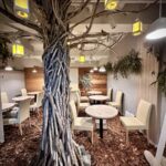 シンボルツリーのあるカフェ「whole cafe吉祥寺店」が閉店へ