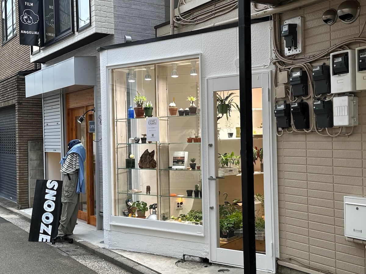 吉祥寺に小さめサイズの植物専門ショップ「ECHO PLANTS」がオープンへ