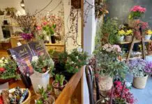 吉祥寺にヨーロッパの風を感じるフラワーショップ「Le Petit SOleil」がオープン