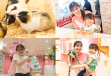 伊豆シャボテンリゾートの屋内型ふれあい動物園「アニタッチ」が吉祥寺にオープンへ