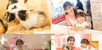 伊豆シャボテンリゾートの屋内型ふれあい動物園「アニタッチ」が吉祥寺にオープンへ