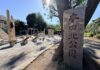 吉祥寺東町の住宅街、リニューアルした「本田北公園」障害物系の木製アスレチックが充実